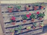 Vertical Pallet Garden – Terra-Cotta Hanging Planters