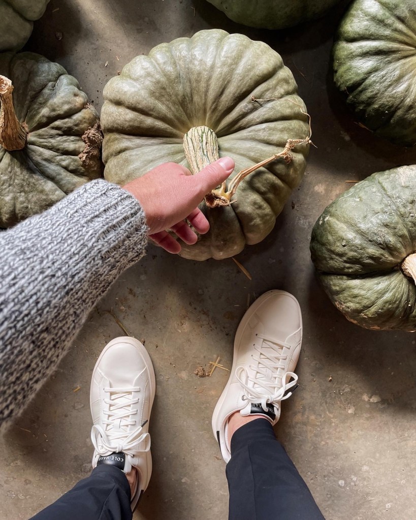 Green pumpkins being picked up from a top down view